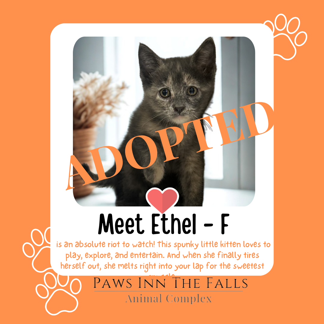 Ethel adopted.png