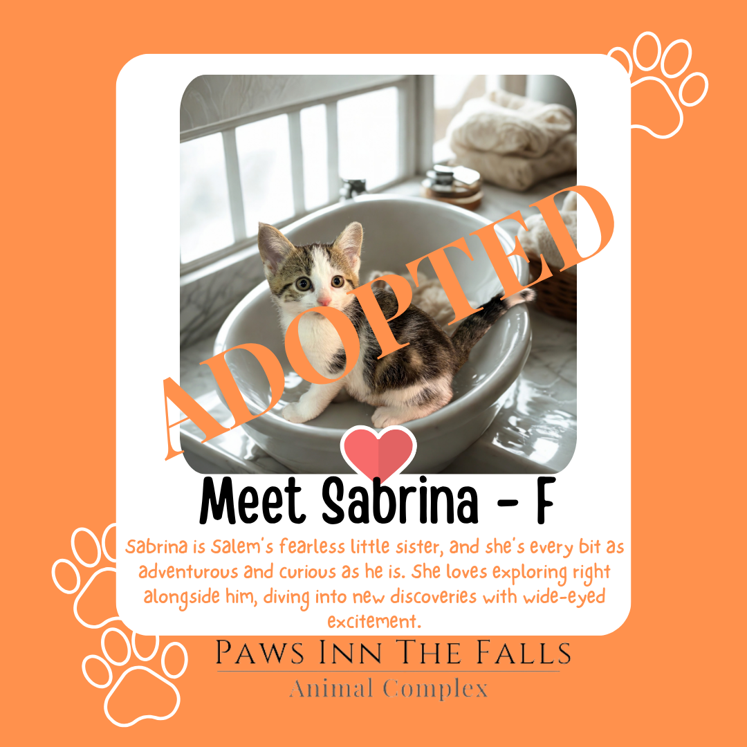 Sabrina adopted.png