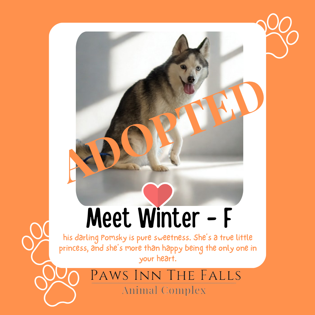 Winter adopted.png