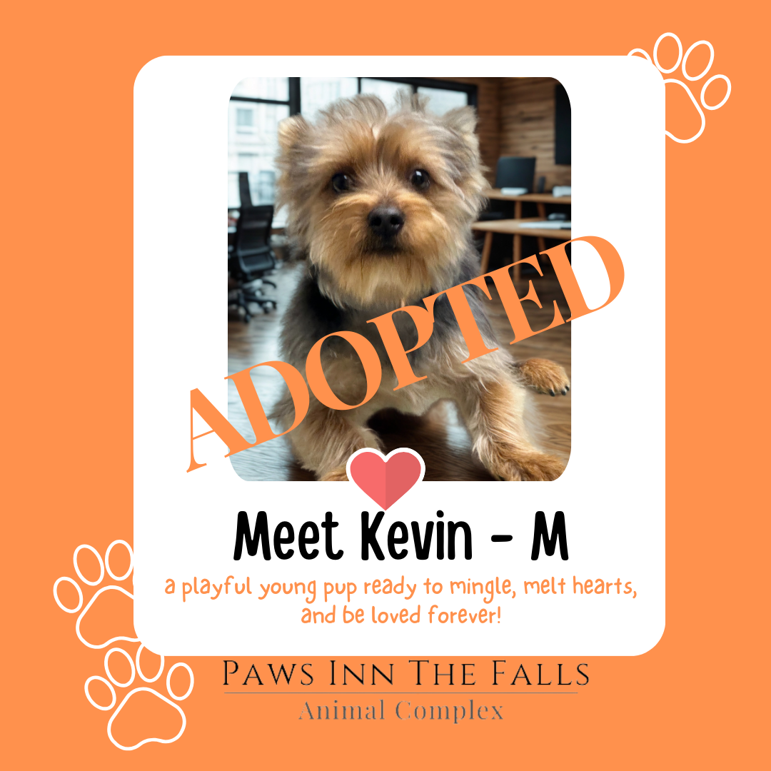 Kevin adopted.png