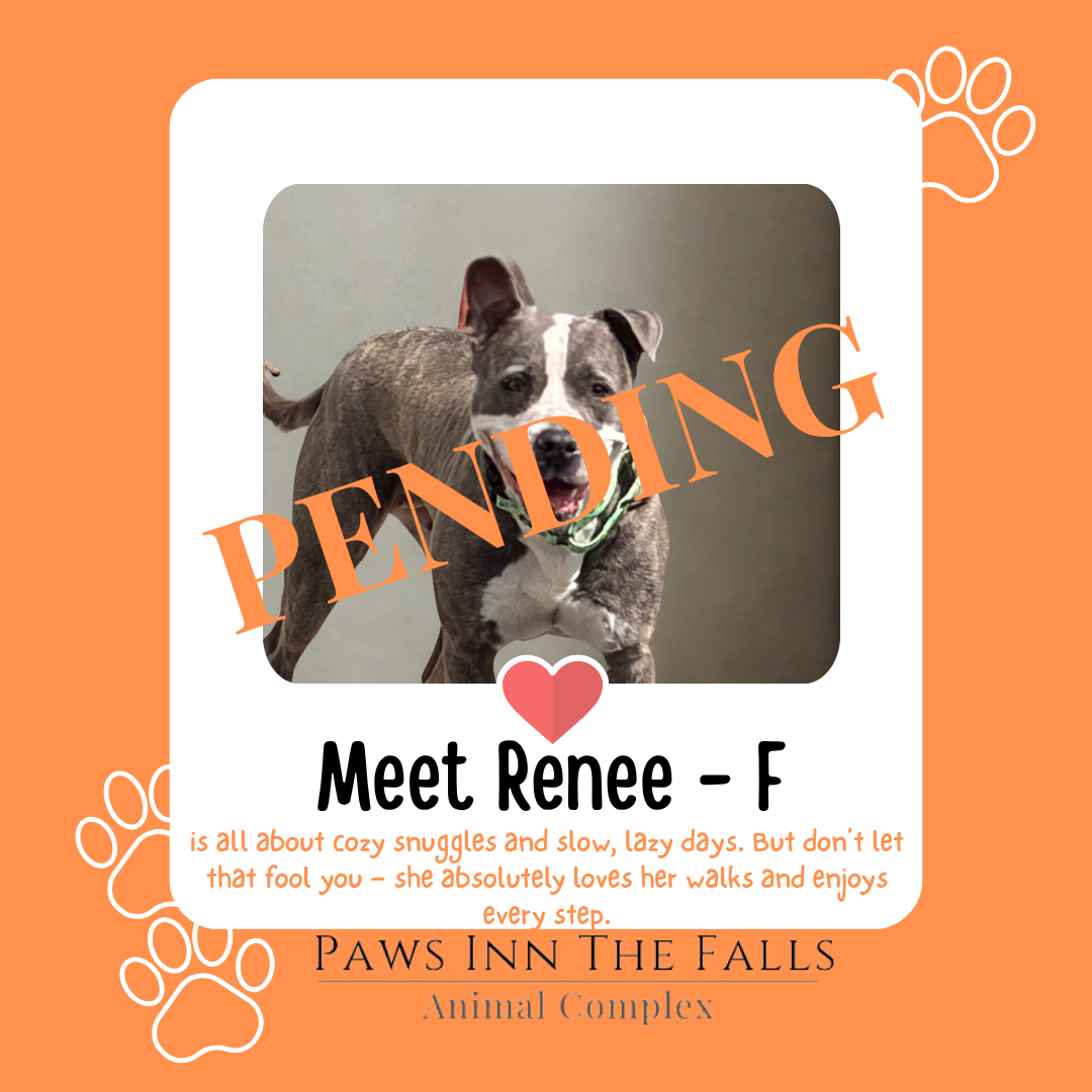 Renee pending.png