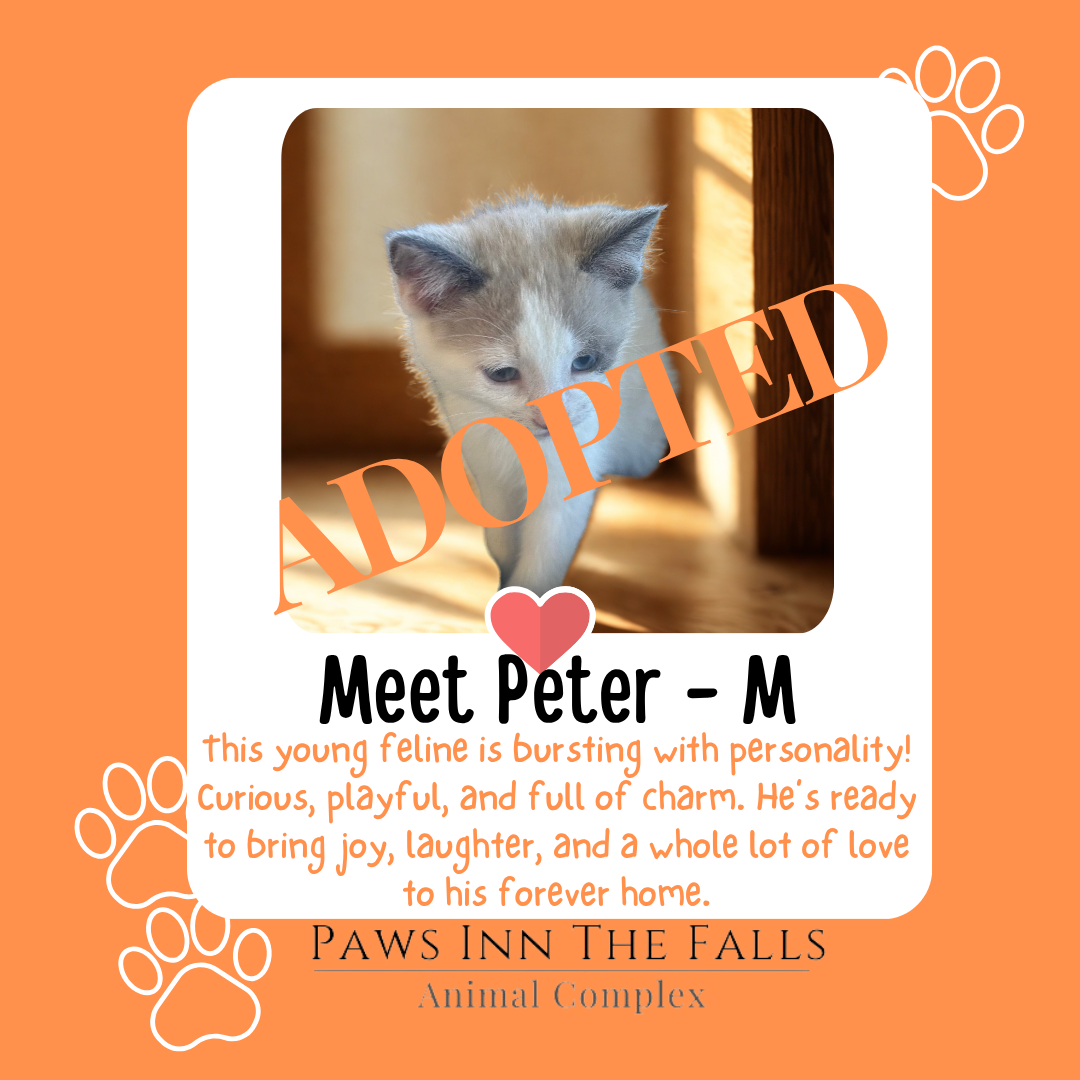 peter adopted.png