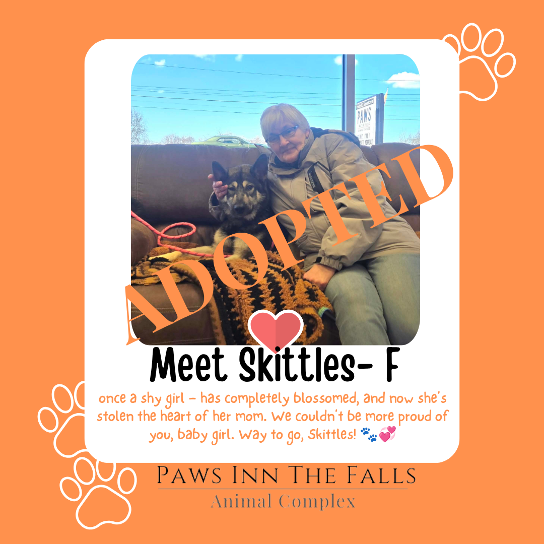 Skittles adopted.png