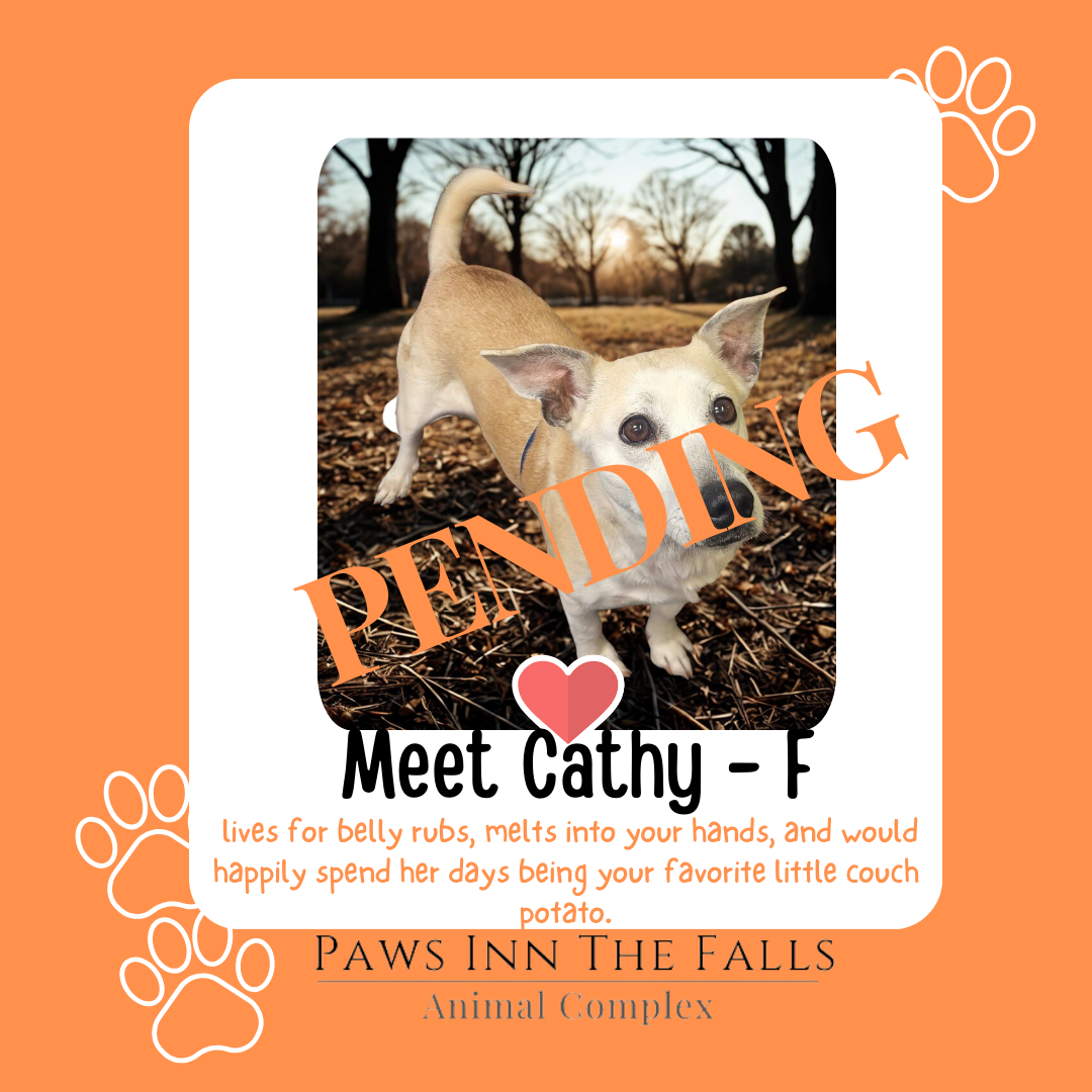 Cathy Pending.png