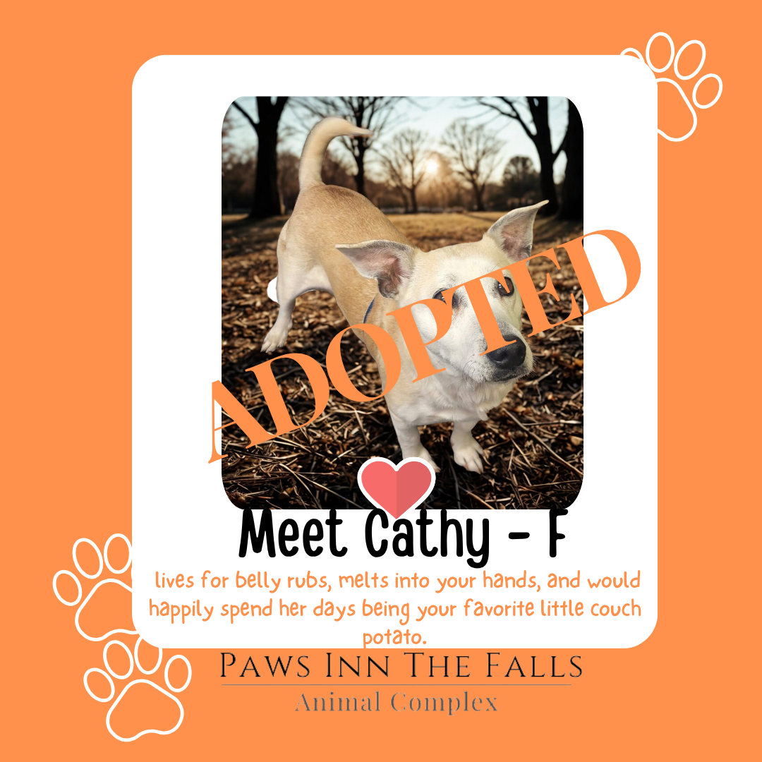 Cathy adopted.png