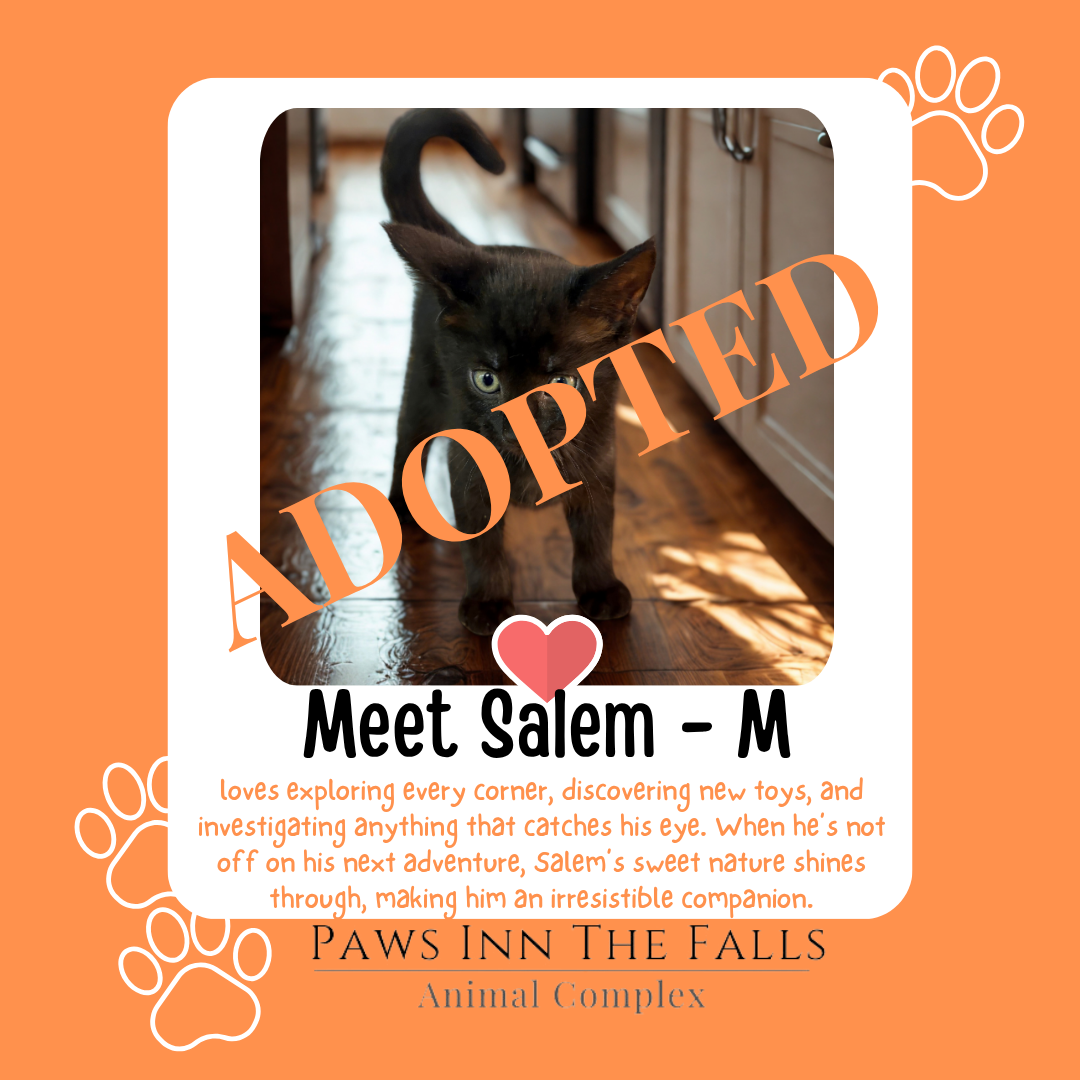 Salem adopted.png