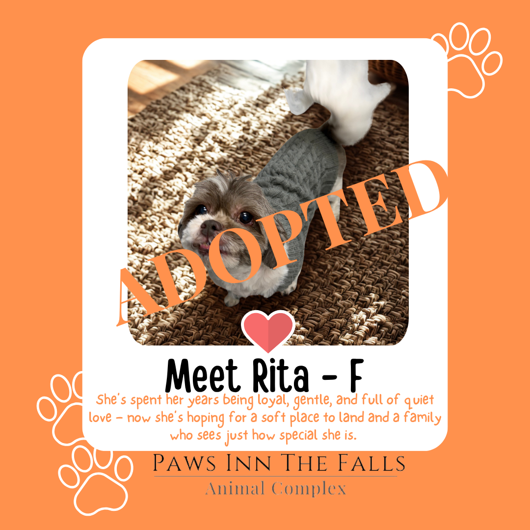 Rita Mae Adopted.png