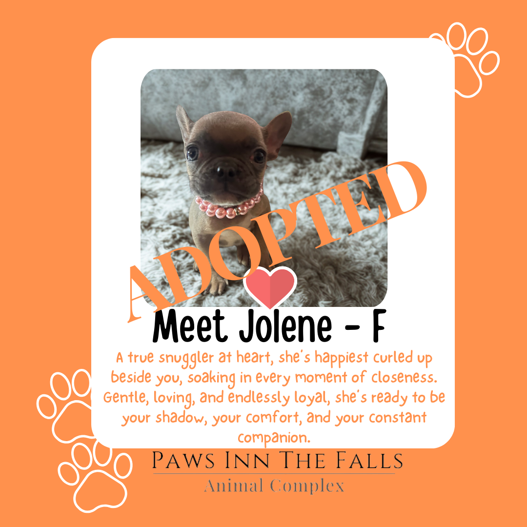 Jolene Adopted.png