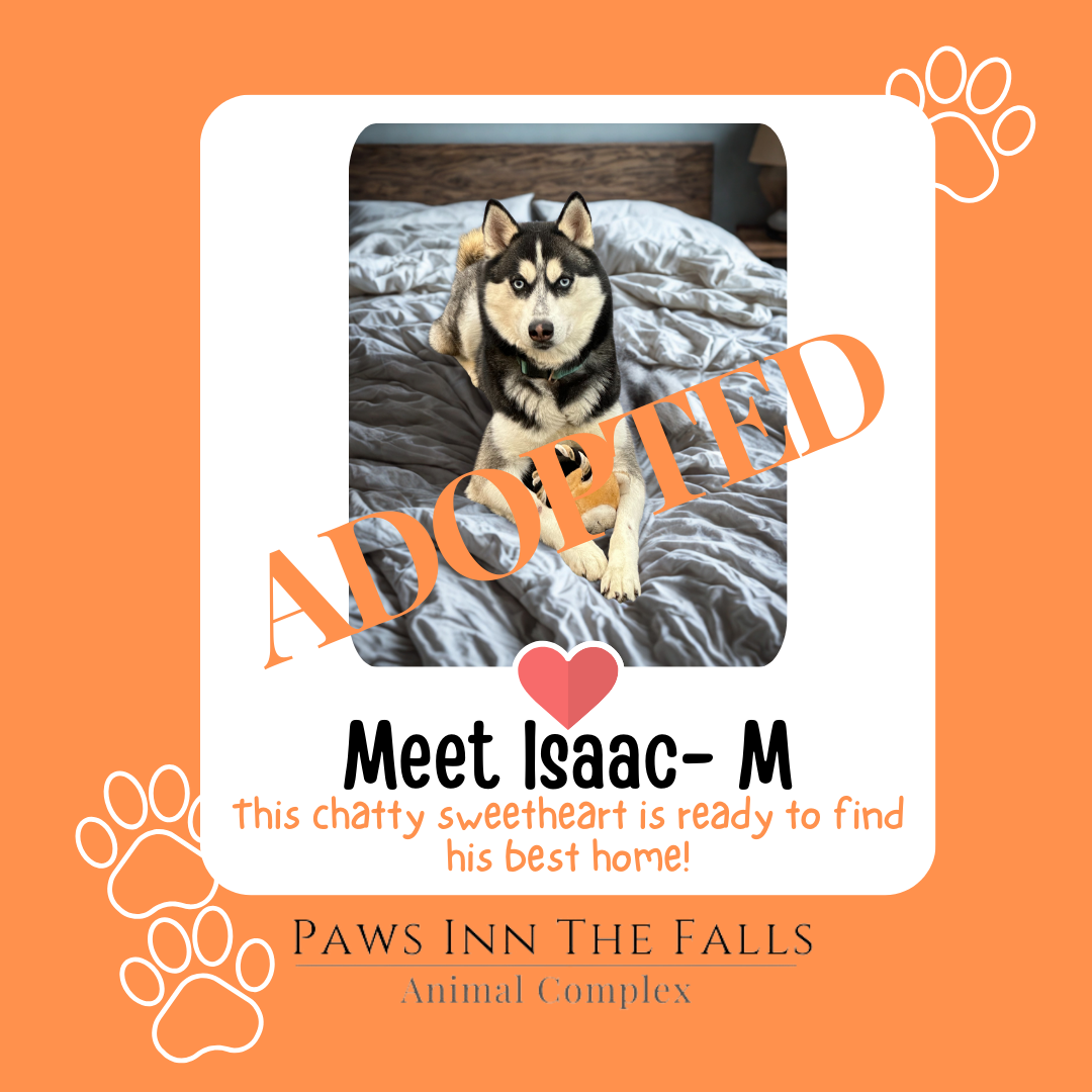 Isaac adopted.png