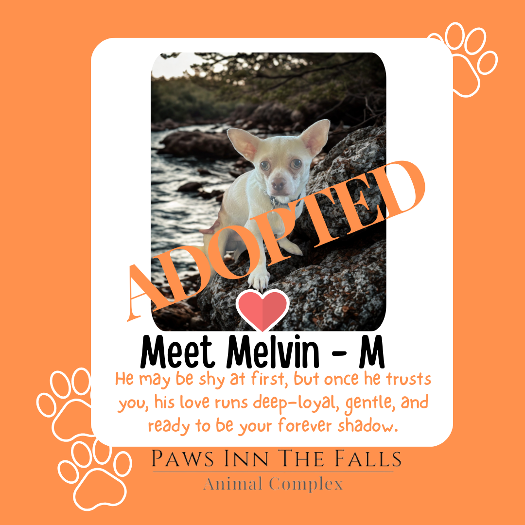 melvin adopted.png