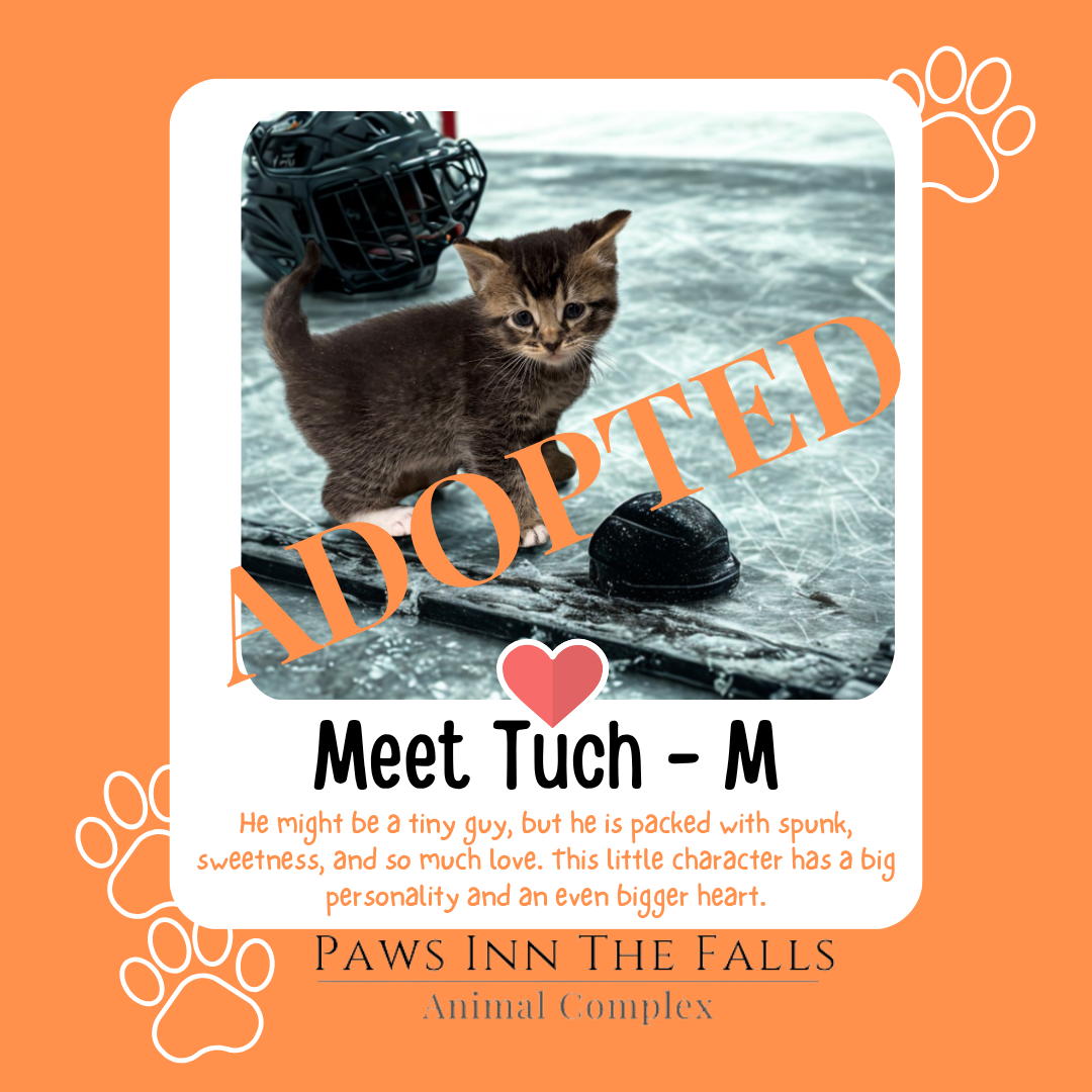 tuch adopted.png