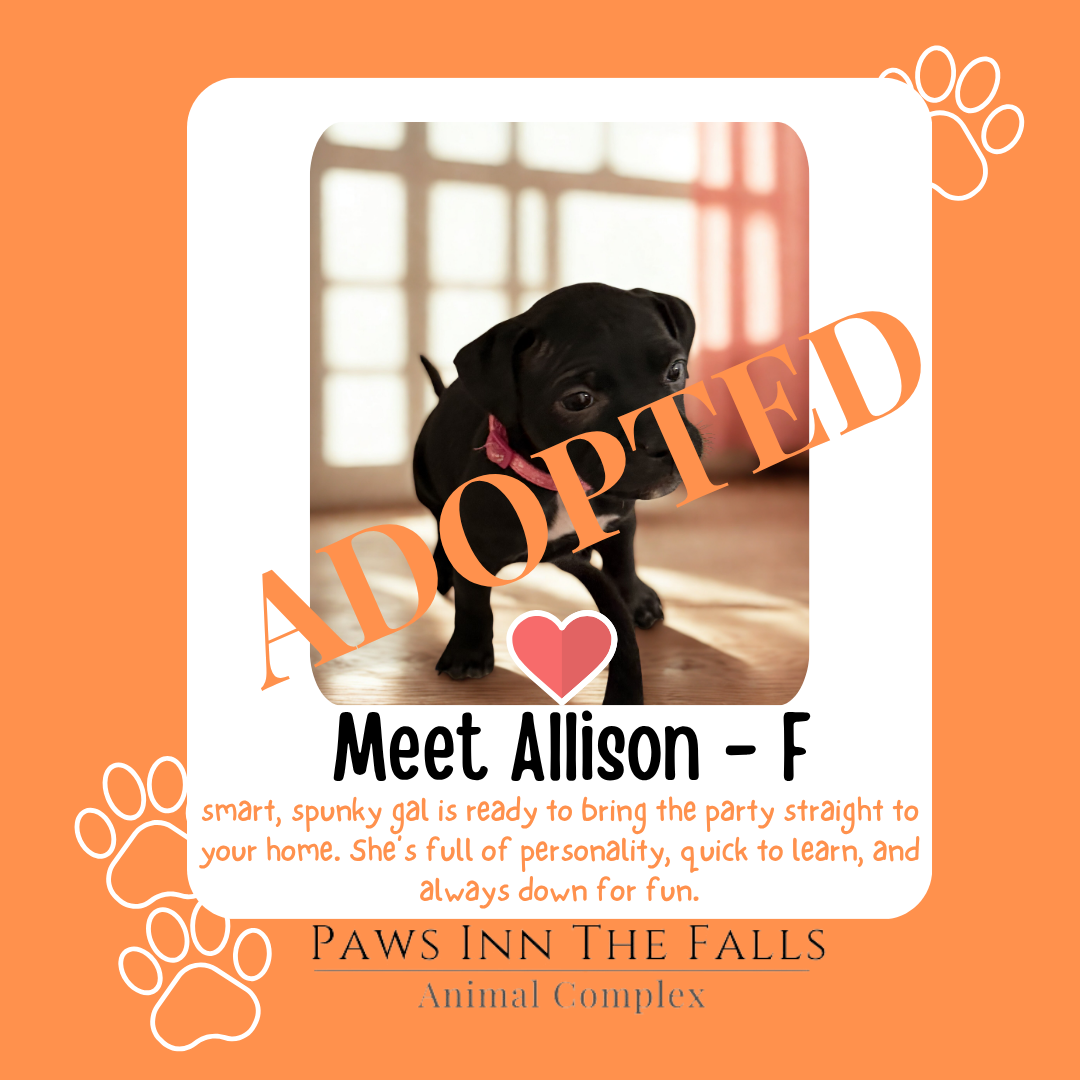 Allison adopted.png