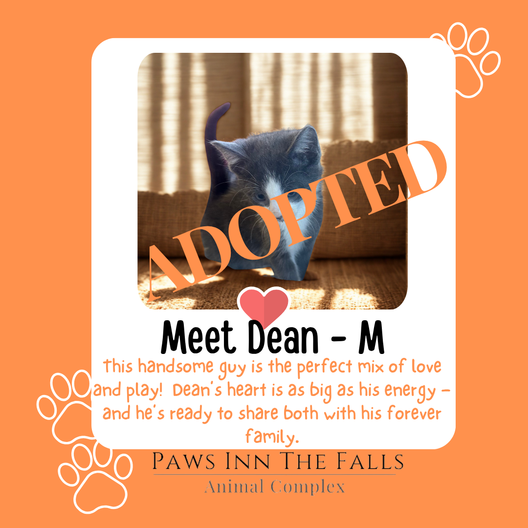 dean adopted.png