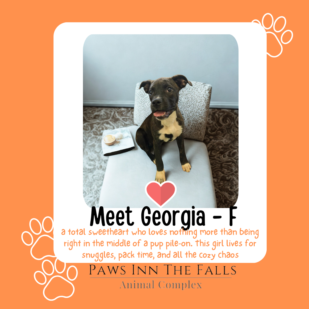 new georgia web.png
