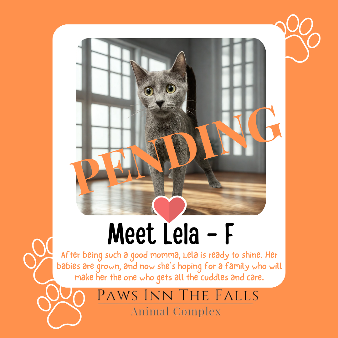 Lela web.png
