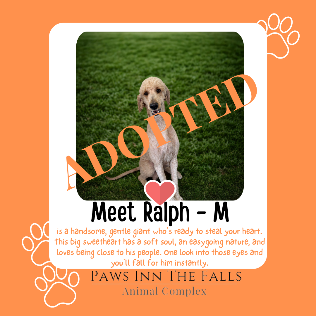 Ralph adopted.png
