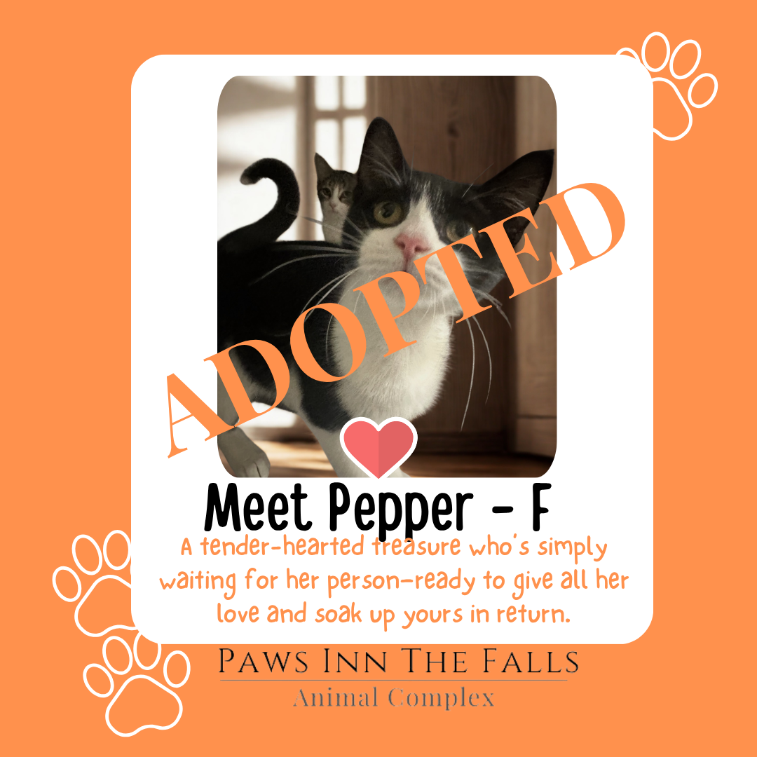 pepper adopted.png