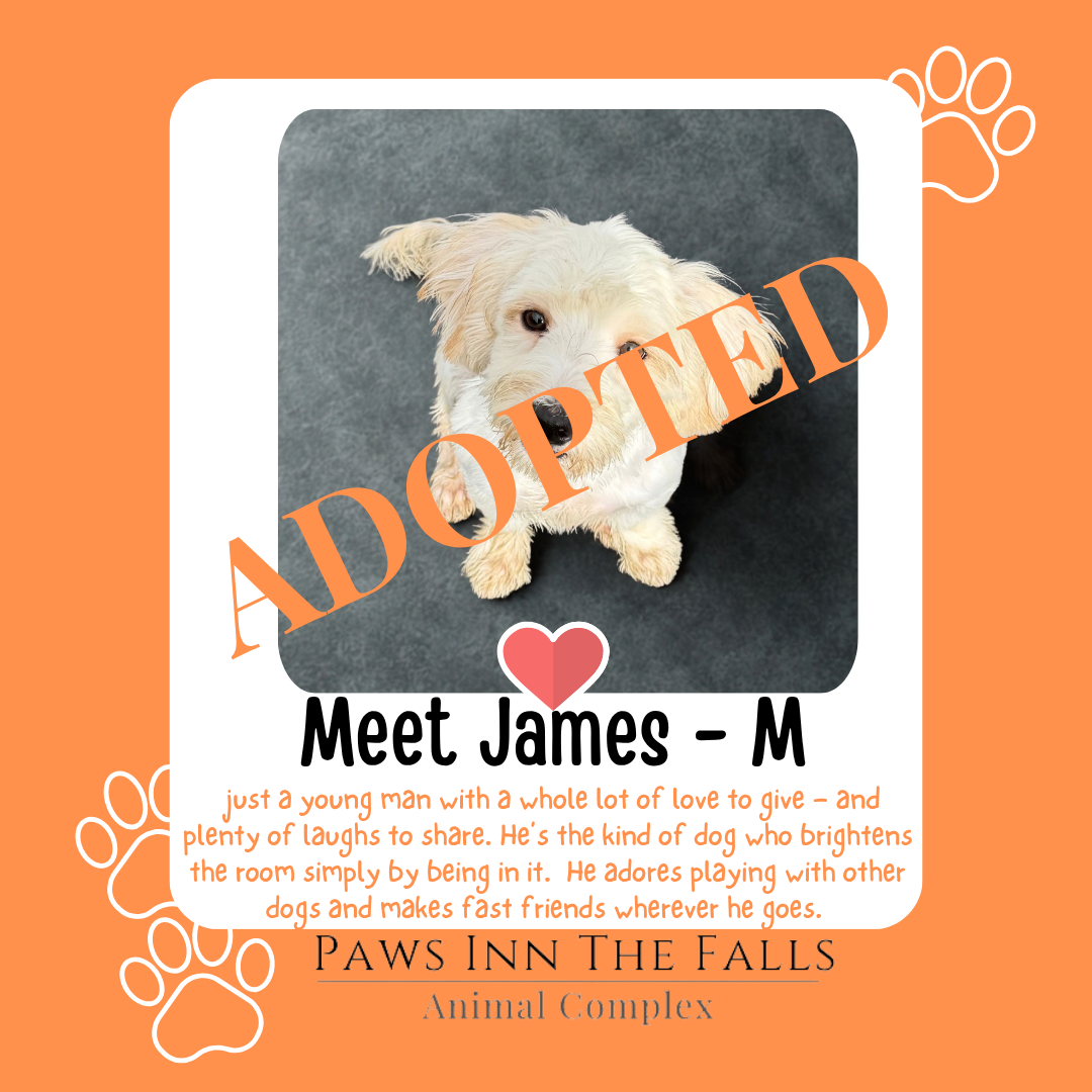 james adopted.png