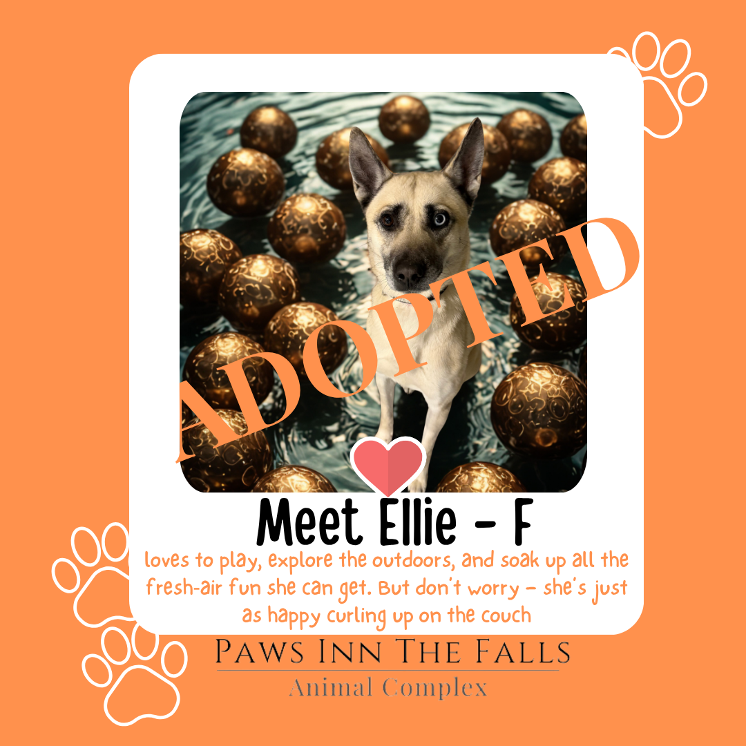 ellie adopted.png