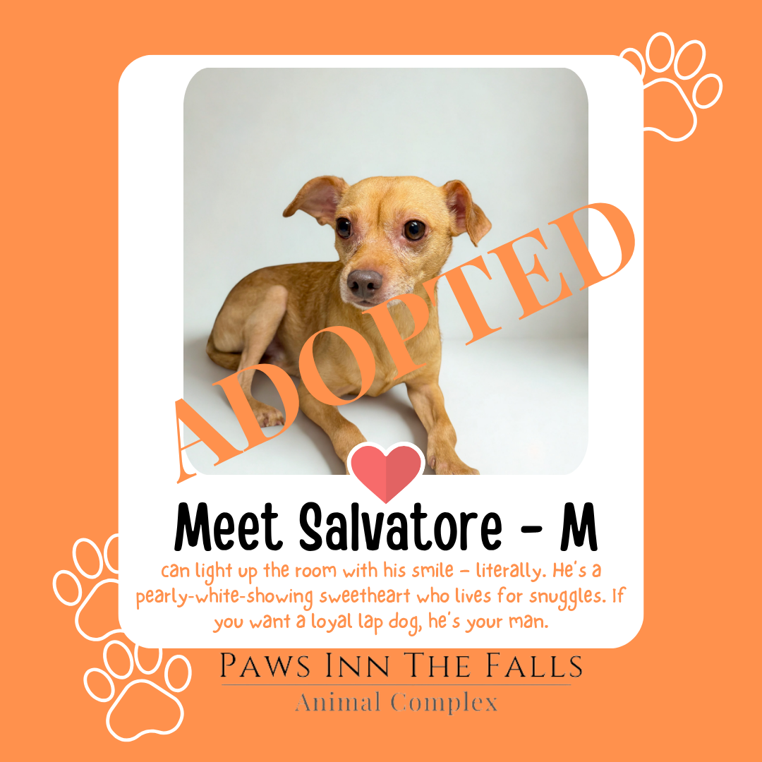 salvatore adopted.png