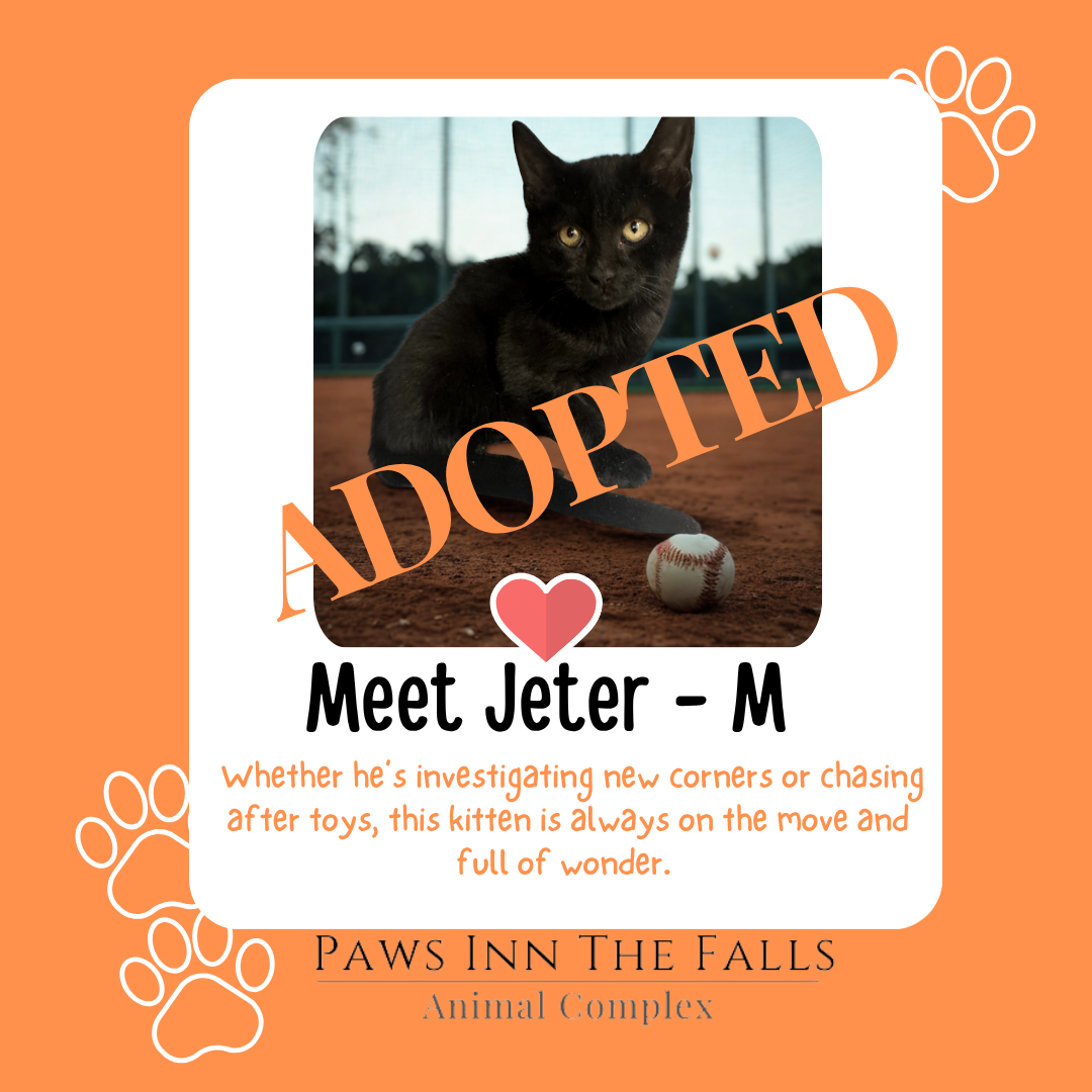 jeter adopted.png