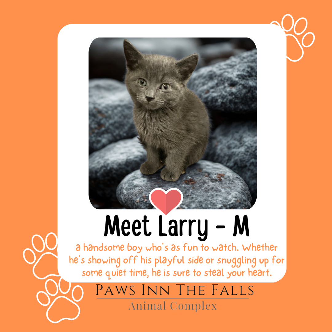 Larry web.png