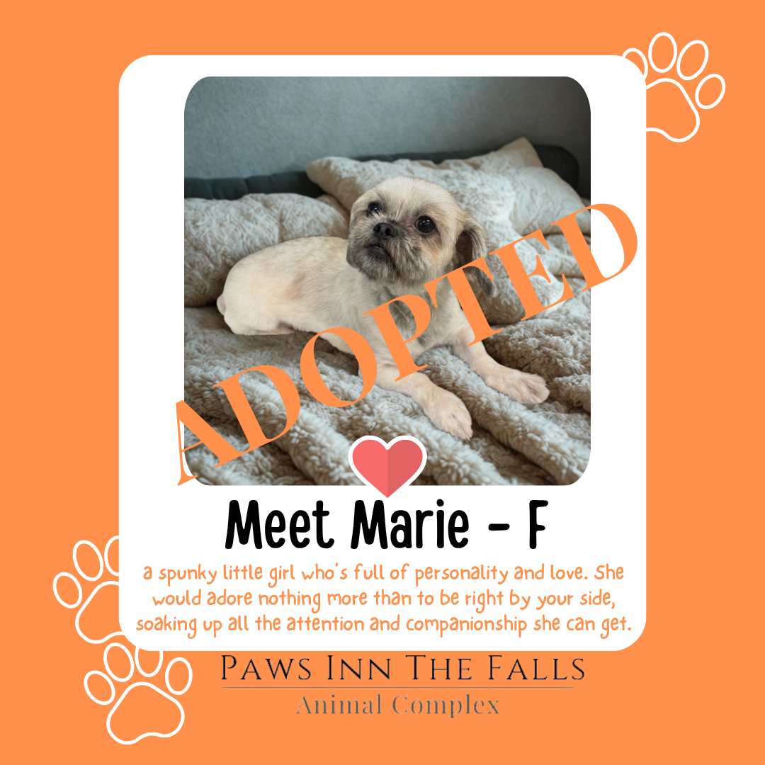Marie adopted.png