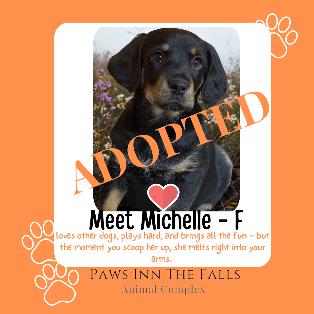 Michelle adopted.png