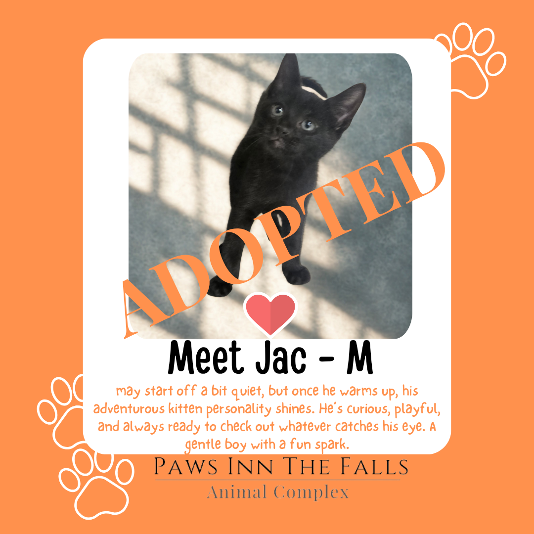 jac adopted.png