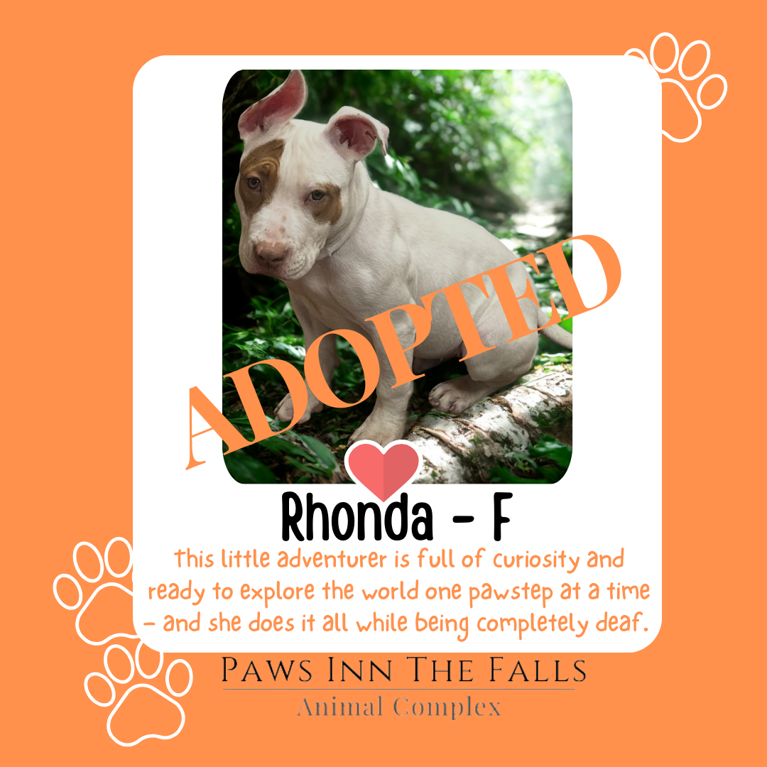 Rhonda Adopted.png