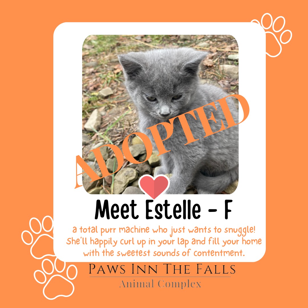 Estelle adopted.png