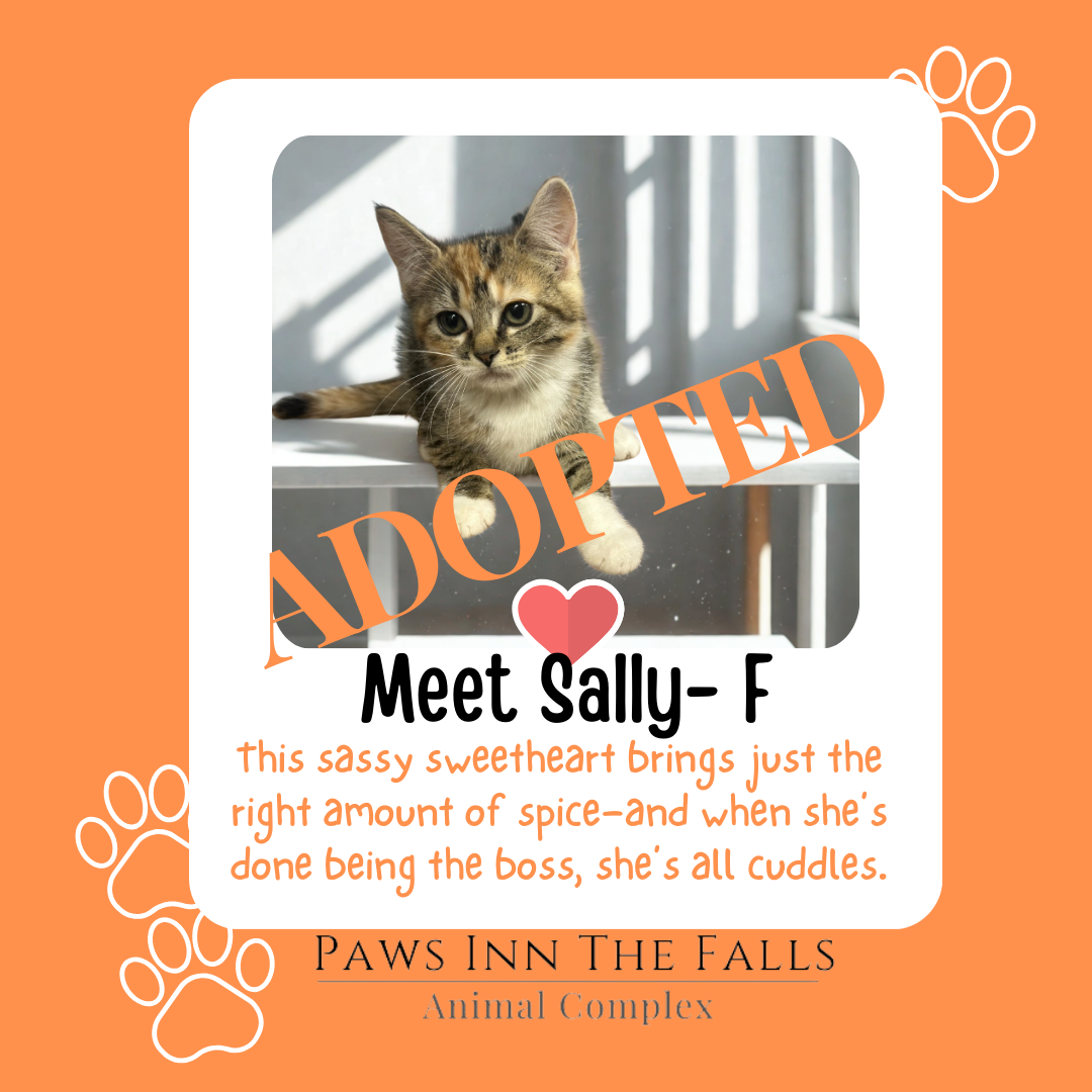 Sally Adopted.png