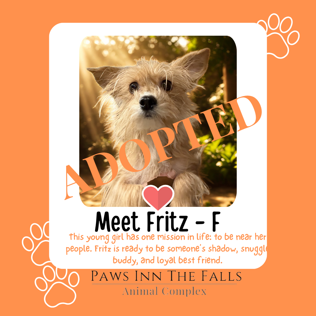 Fritz adopted.png
