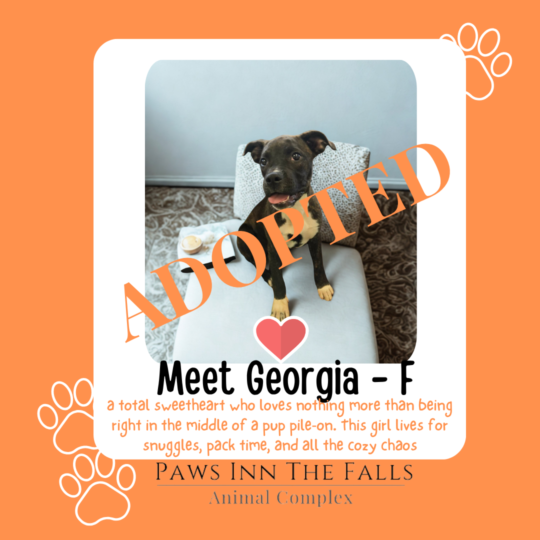 Georgia adopted.png