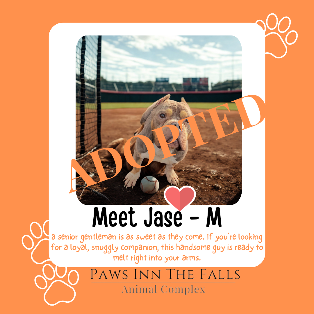 Jase adopted.png