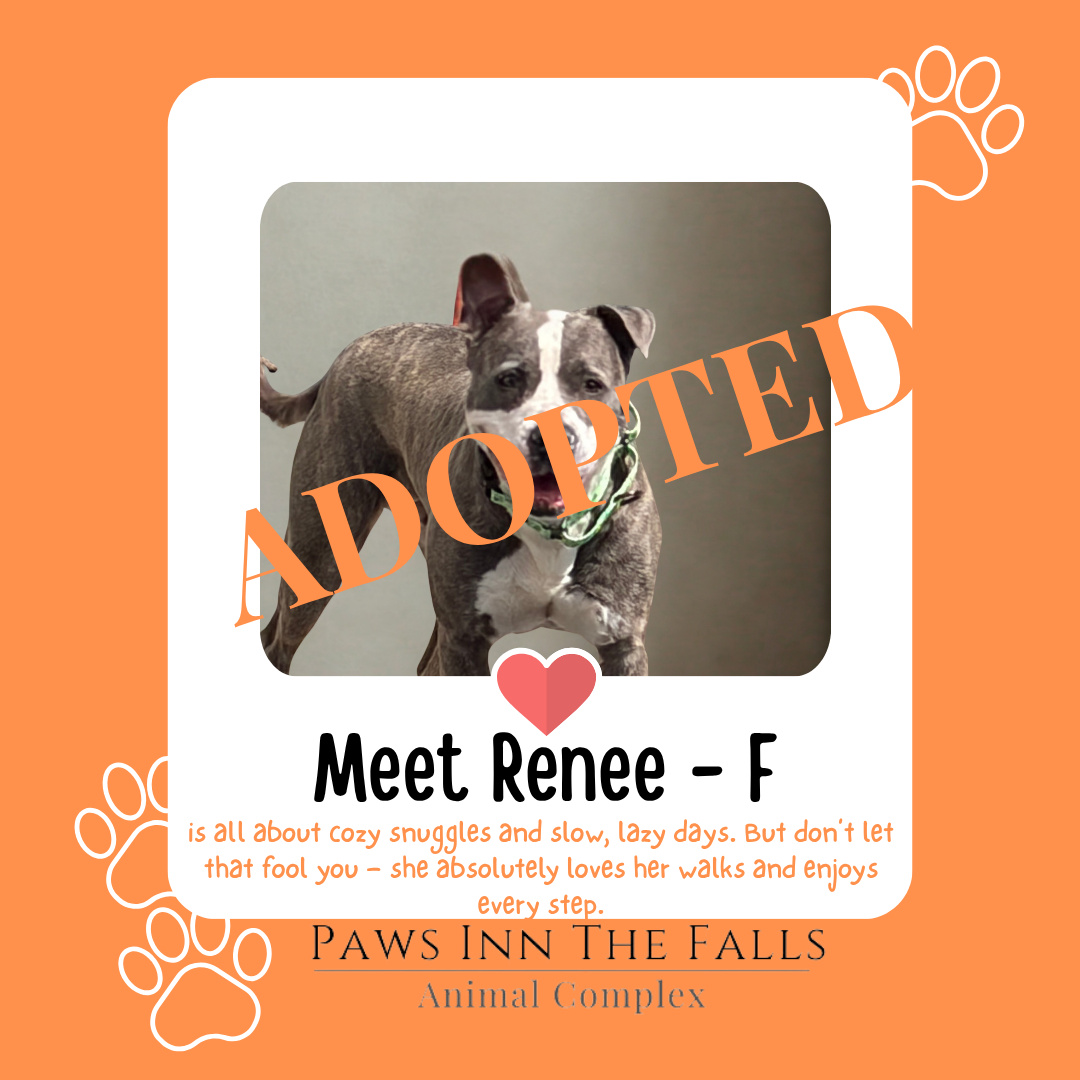 Renee Adopted.png