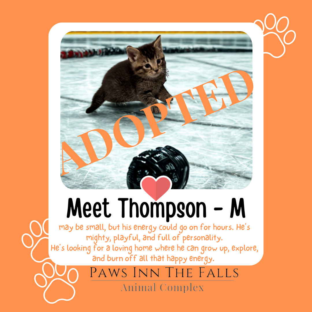 thompson adopted.png