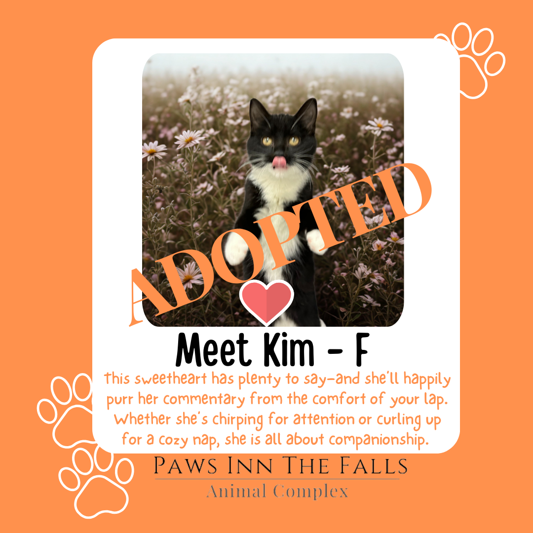Kim adopted.png