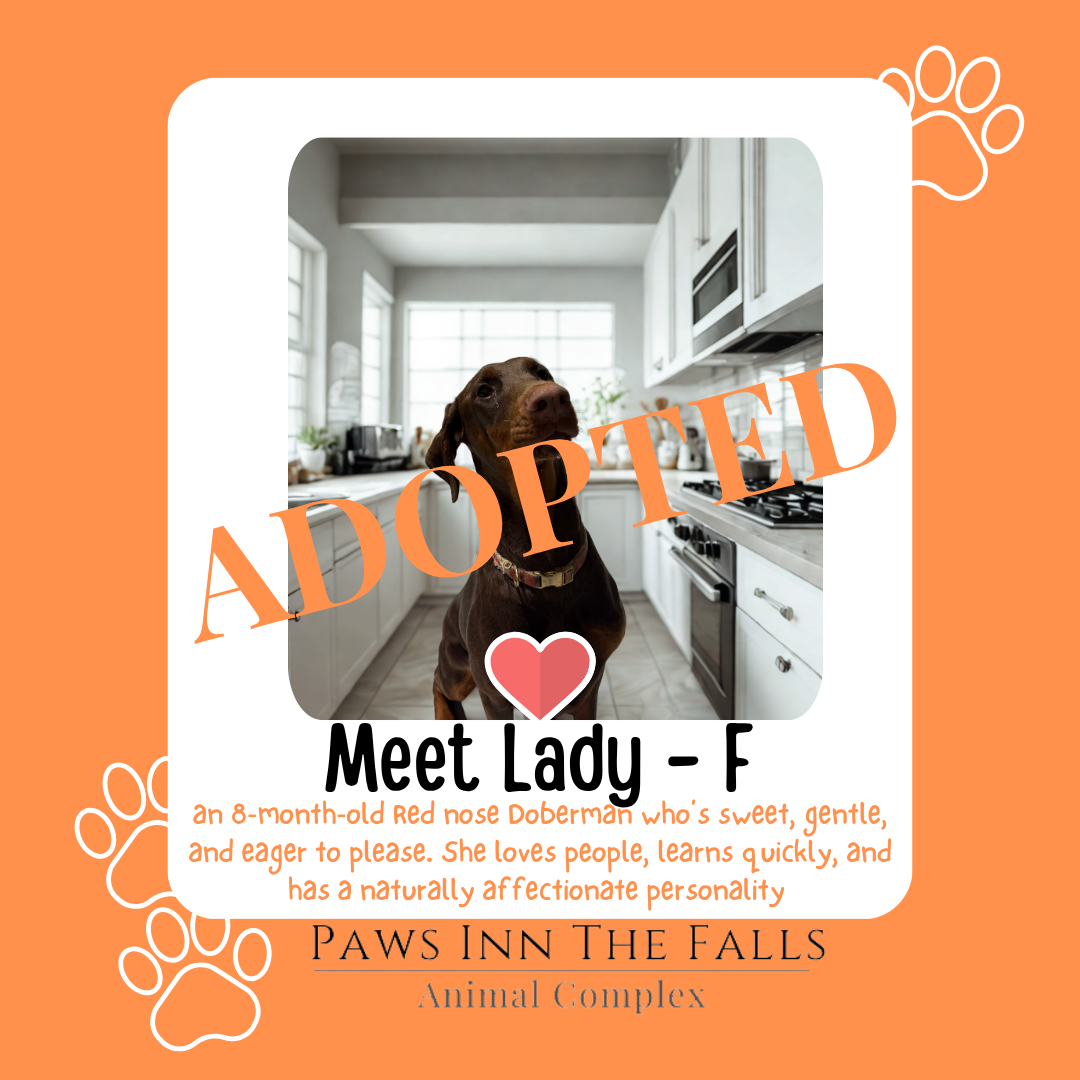Lady adopted.png