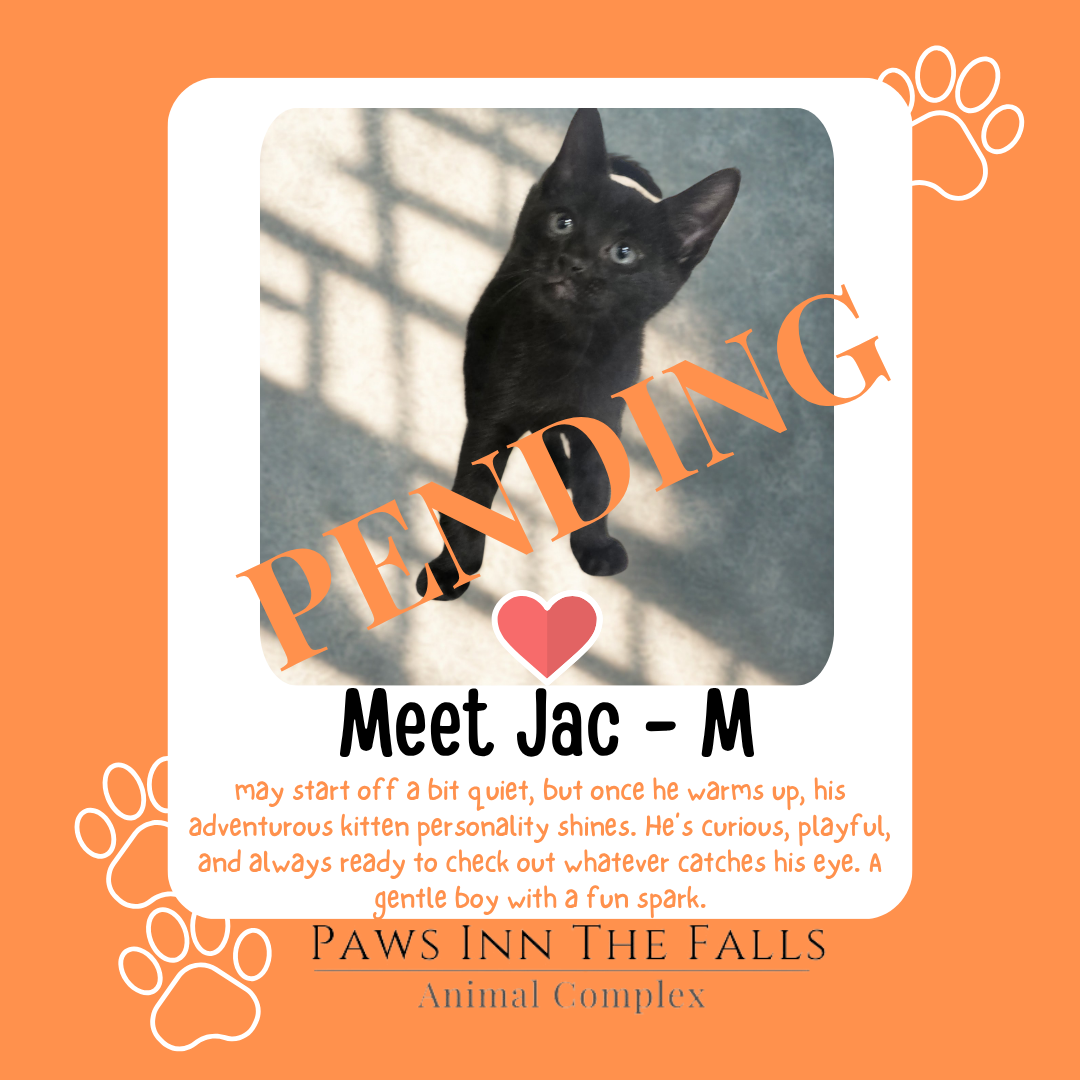Jac pending.png