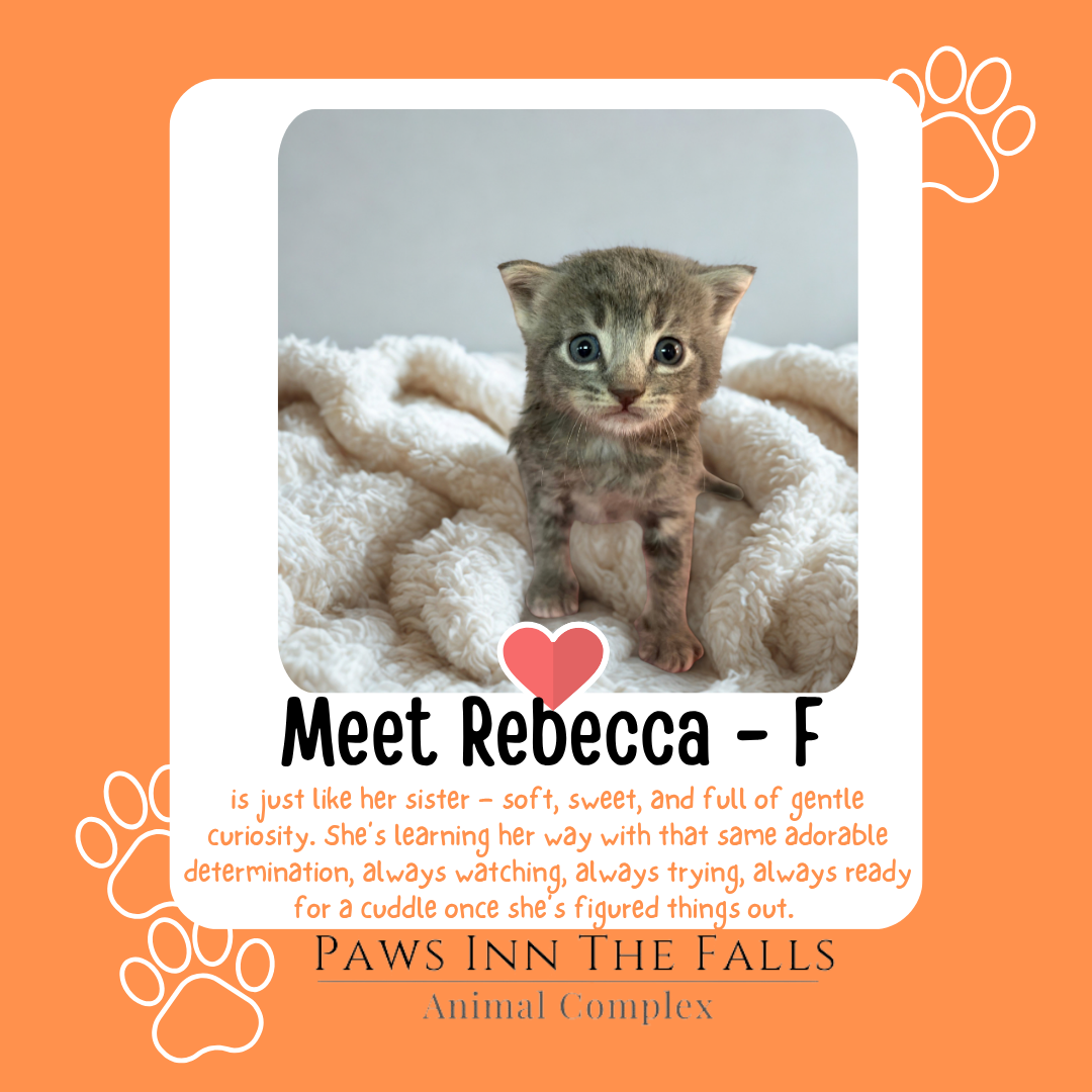 Rebecca web.png