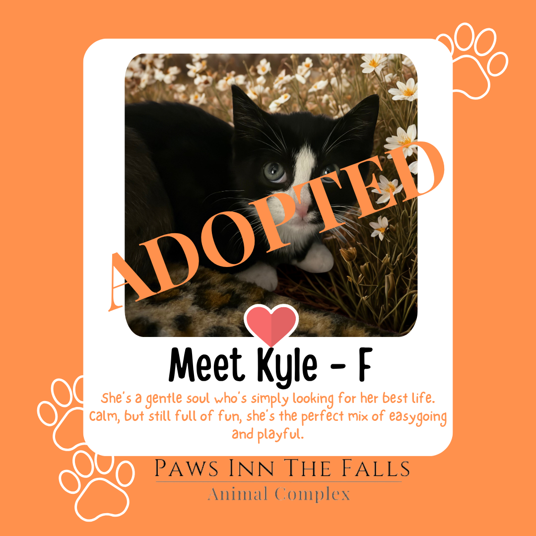 Kyle adopted.png