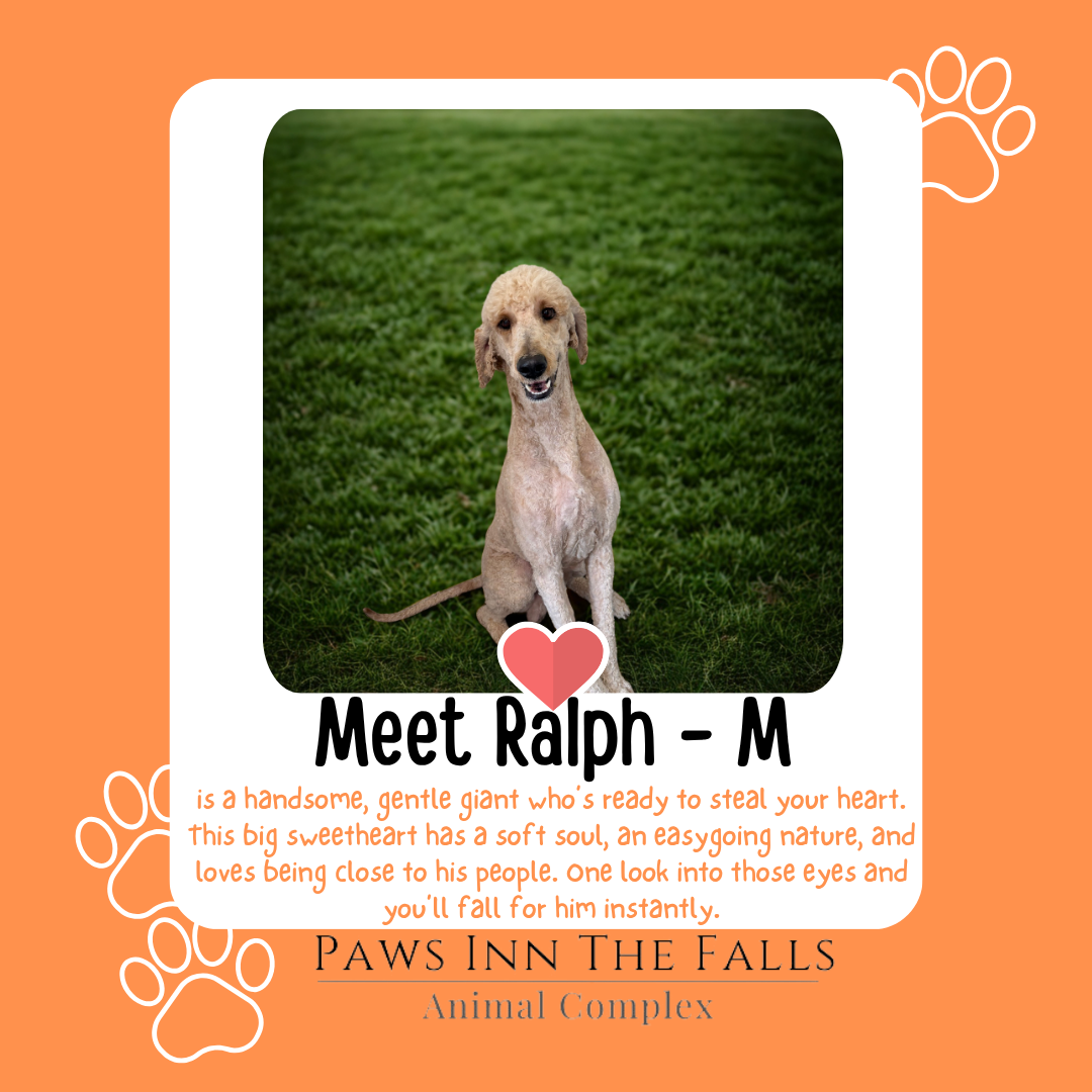 Ralph web.png