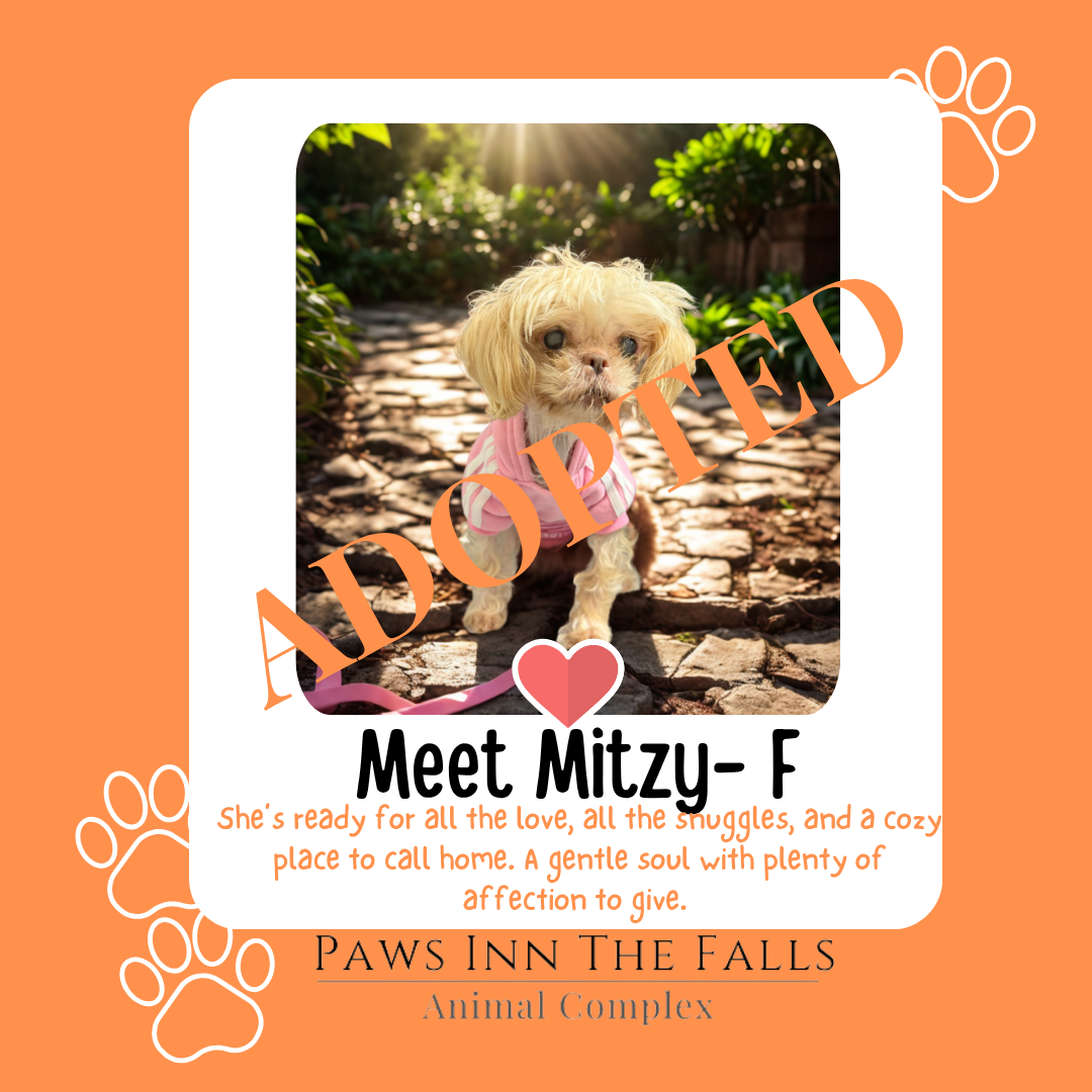 Mitzy adopted.png