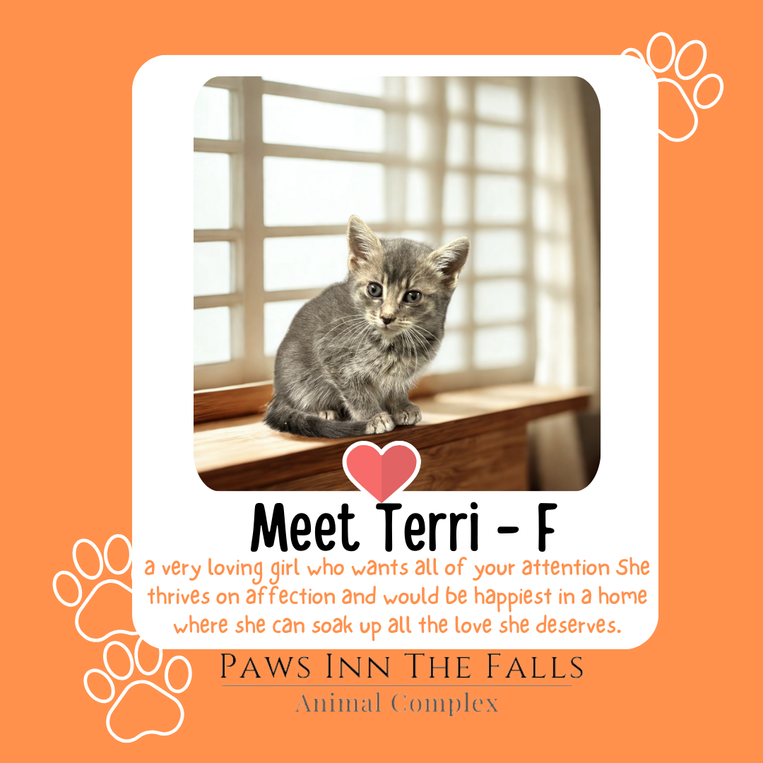 Terri web.png