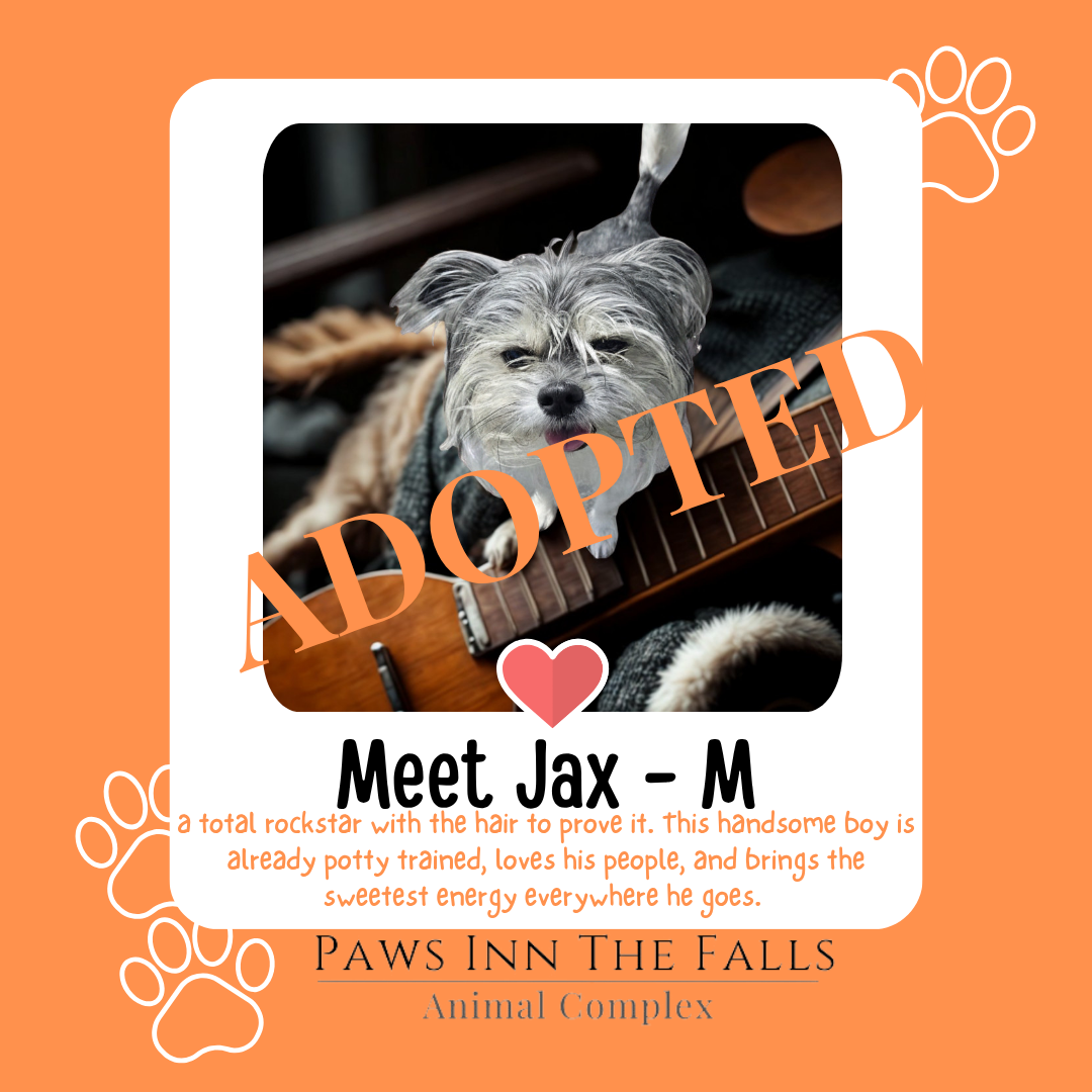 jax adopted.png