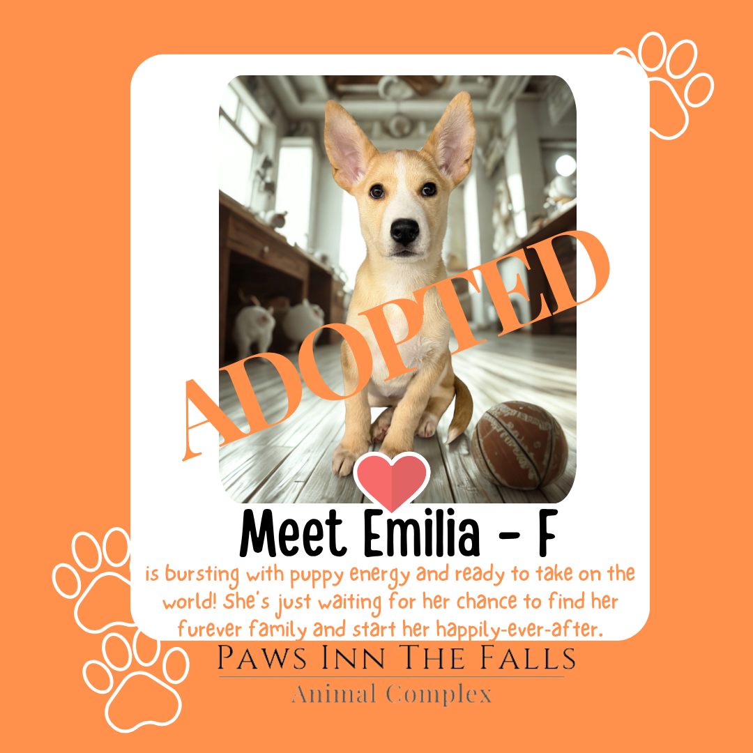 Emilia adopted.png
