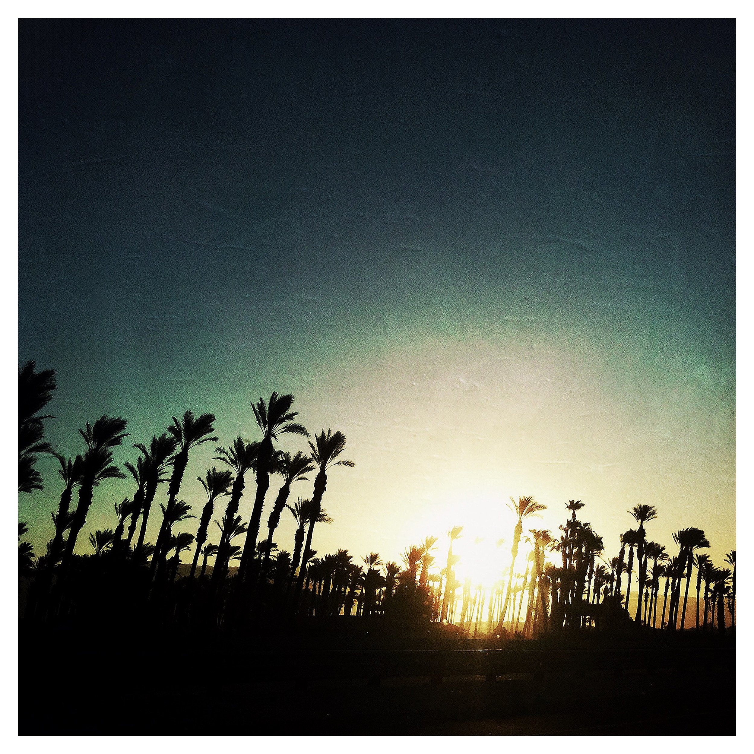 PALM SPRINGS 4- SELL PRINT- 3826.jpg