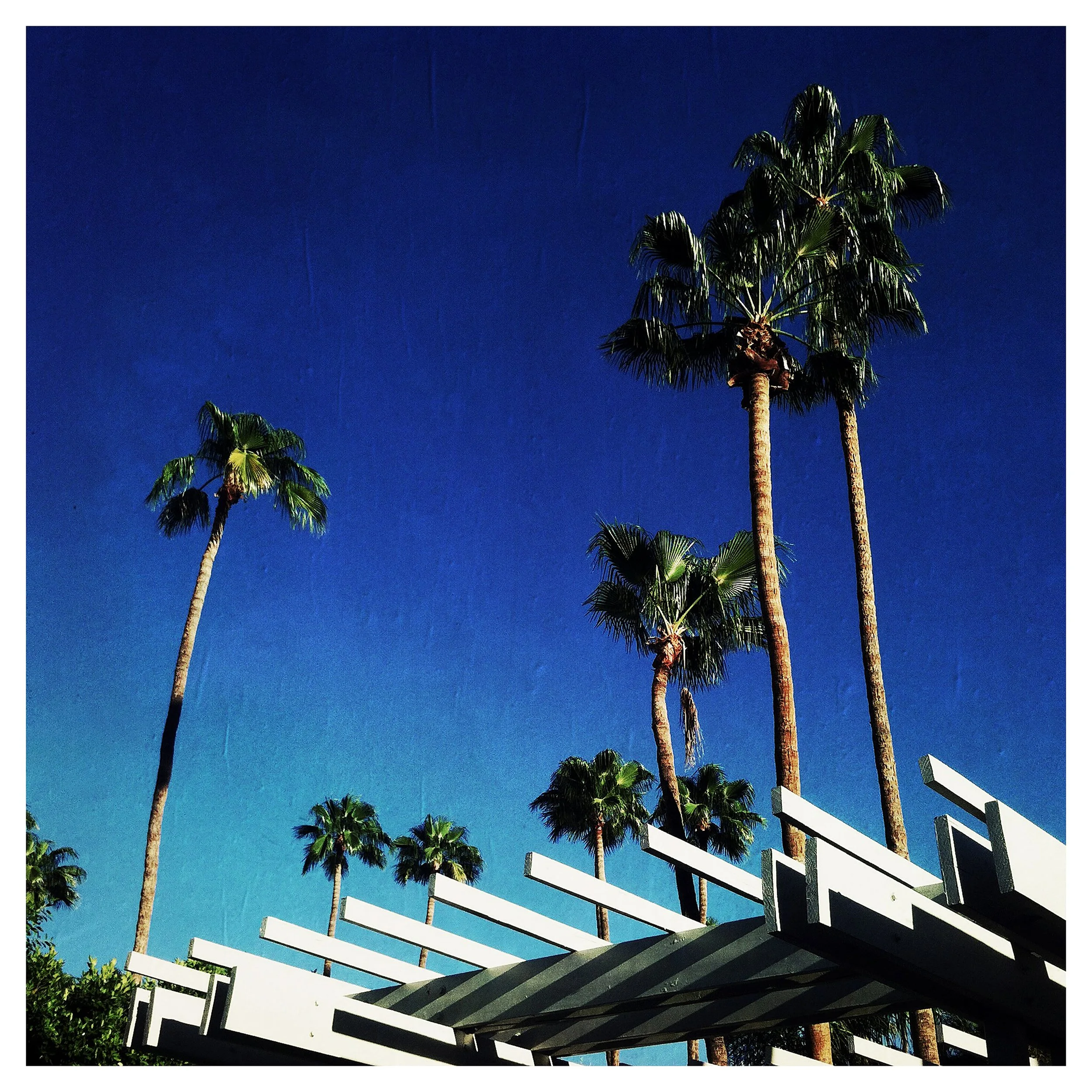 PALM SPRINGS 5- SELL PRINTS- 3755.jpg