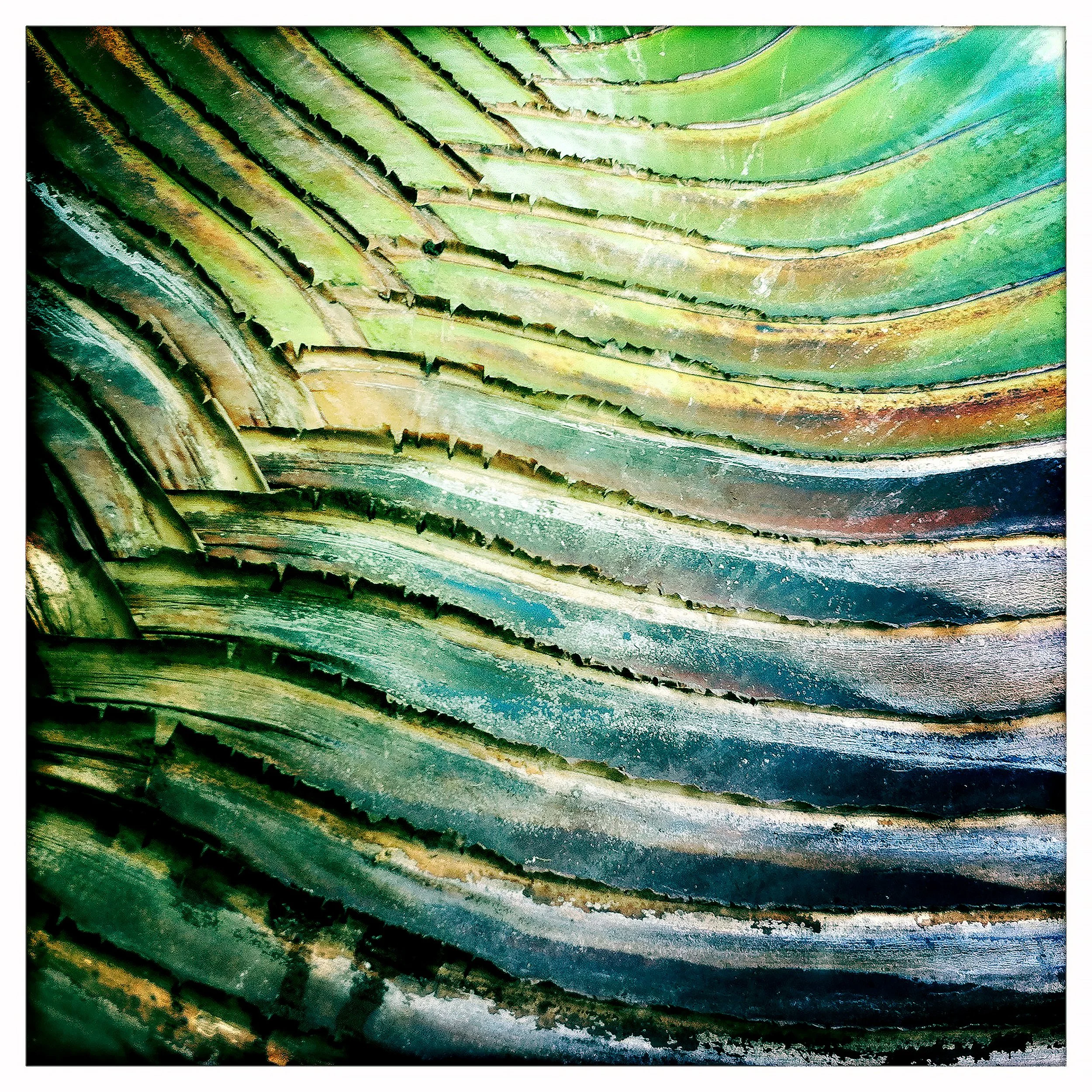 TREE BARK 1- PRINT SELL 1425.jpg